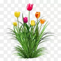 �������л�����-������-������