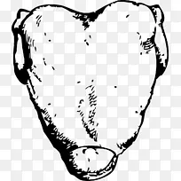 以烤鸡为食物剪贴画-鸡-空若网 以烤鸡为食物剪贴画-鸡-空若网