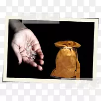 ��ָ����-������