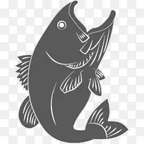 海洋白色食肉鱼-空若网 海洋白色食肉鱼-空若网