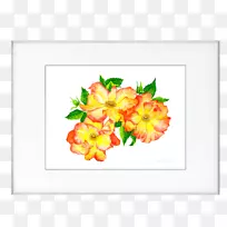 花卉设计切花画框花瓣图案-玛丽简-空若网 花卉设计切花画框花瓣图案-玛丽简-空若网