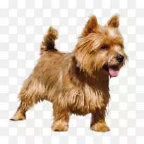 ŵά����Ȯ���Ĵ�������Ȯ��ŵ������Ȯ���Ĵ����Ǹ��ף�˿����Ȯ-������