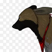 犬科、毛皮、鼻子、狗、-自画像-空若网 犬科、毛皮、鼻子、狗、-自画像-空若网