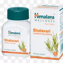 喜马拉雅山药业公司阿尤尔韦达保健药片-空若网 喜马拉雅山药业公司阿尤尔韦达保健药片-空若网