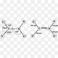 肽键蛋白氨基酸主链键-空若网 肽键蛋白氨基酸主链键-空若网