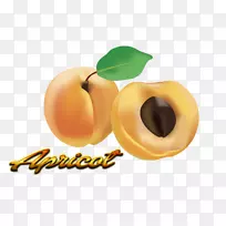 杏花剪贴画-粉红色杏花-空若网 杏花剪贴画-粉红色杏花-空若网