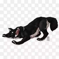 犬种鼻毛犬-空若网 犬种鼻毛犬-空若网