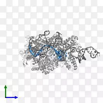 胸针体饰字体-空若网 胸针体饰字体-空若网