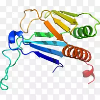 �ߵ������-��-������