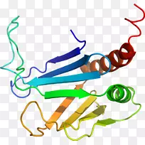 �ߵ������������-������