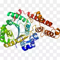 艺术身体珠宝有机体剪贴艺术珠宝首饰-空若网 艺术身体珠宝有机体剪贴艺术珠宝首饰-空若网