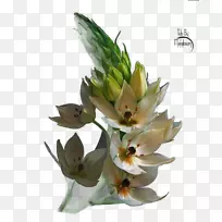 切花设计花盆设计-空若网 切花设计花盆设计-空若网