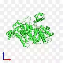 树线剪贴画-树-空若网 树线剪贴画-树-空若网