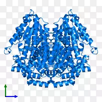 �л�����������-������