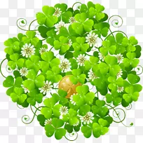 四叶草剪贴画-三叶草-空若网 四叶草剪贴画-三叶草-空若网
