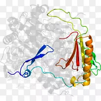 �ߵ������-��-������