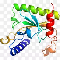 ֲ�ﾥ�߲��߼�����-�߲�-������