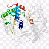 人体行为线有机体点剪贴画线-空若网 人体行为线有机体点剪贴画线-空若网