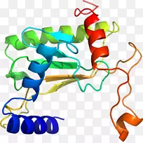 线点生物剪贴画线-空若网 线点生物剪贴画线-空若网