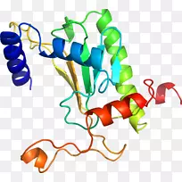 车身珠宝厂茎线剪贴画线-空若网 车身珠宝厂茎线剪贴画线-空若网