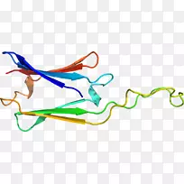 �ߵ������-��-������