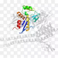 ƽ����Ƽ�����.���-������