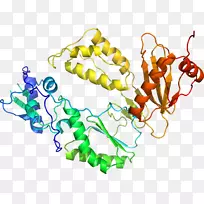 �����鱦�л�������������.�鱦-������