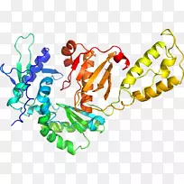 人体珠宝有机体剪贴画.珠宝-空若网 人体珠宝有机体剪贴画.珠宝-空若网