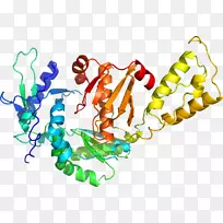 ���������鱦�л�����������鱦����-������