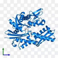 线HSP 70剪贴画线-空若网 线HSP 70剪贴画线-空若网