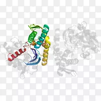 人体珠宝剪贴画.设计-空若网 人体珠宝剪贴画.设计-空若网