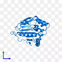标志字体设计-空若网 标志字体设计-空若网