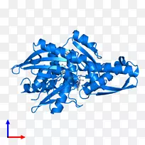 �ߵ������-��-������