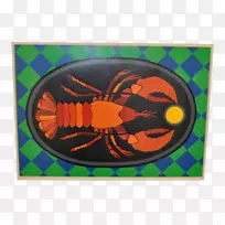 昆虫圈-昆虫-空若网 昆虫圈-昆虫-空若网