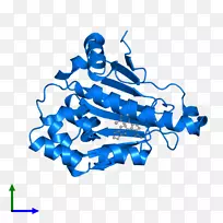 线点剪贴画-线-空若网 线点剪贴画-线-空若网