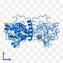 线点生物剪贴画线-空若网 线点生物剪贴画线-空若网
