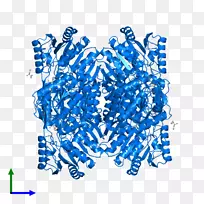 线点体珠宝字体线-空若网 线点体珠宝字体线-空若网
