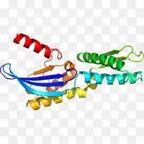 人体珠宝系列有机体剪贴画-珠宝-空若网 人体珠宝系列有机体剪贴画-珠宝-空若网