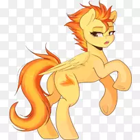 猫科动物-猫-空若网 猫科动物-猫-空若网