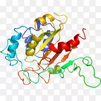 艺术植物有机体线剪贴画-蔬菜-空若网 艺术植物有机体线剪贴画-蔬菜-空若网