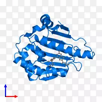 �ߵ������-��-������