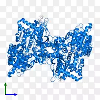 �ߵ�������-������