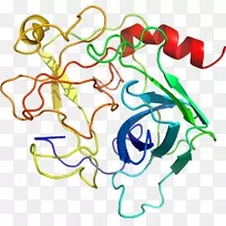 ֱ�ߵ�Ҷ��������-������