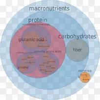 Ӫ������ʳ���֬��ʳ-������