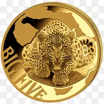 豹非洲灌木象五大游戏狮子-非洲豹-空若网 豹非洲灌木象五大游戏狮子-非洲豹-空若网