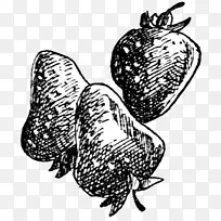 鸡昆虫传粉者视觉艺术-鸡-空若网 鸡昆虫传粉者视觉艺术-鸡-空若网