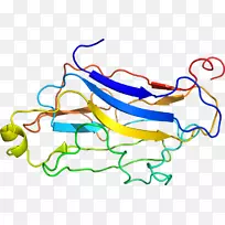 线点生物剪贴画线-空若网 线点生物剪贴画线-空若网