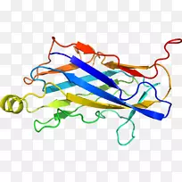 线点生物剪贴画线-空若网 线点生物剪贴画线-空若网