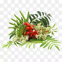 ½ðÇï°Ë½Ç¹ûÝ®-¿ÕÈôÍø ½ðÇï°Ë½Ç¹ûÝ®-¿ÕÈôÍø