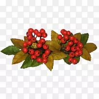 ��ݮɽ��ʳ����-������